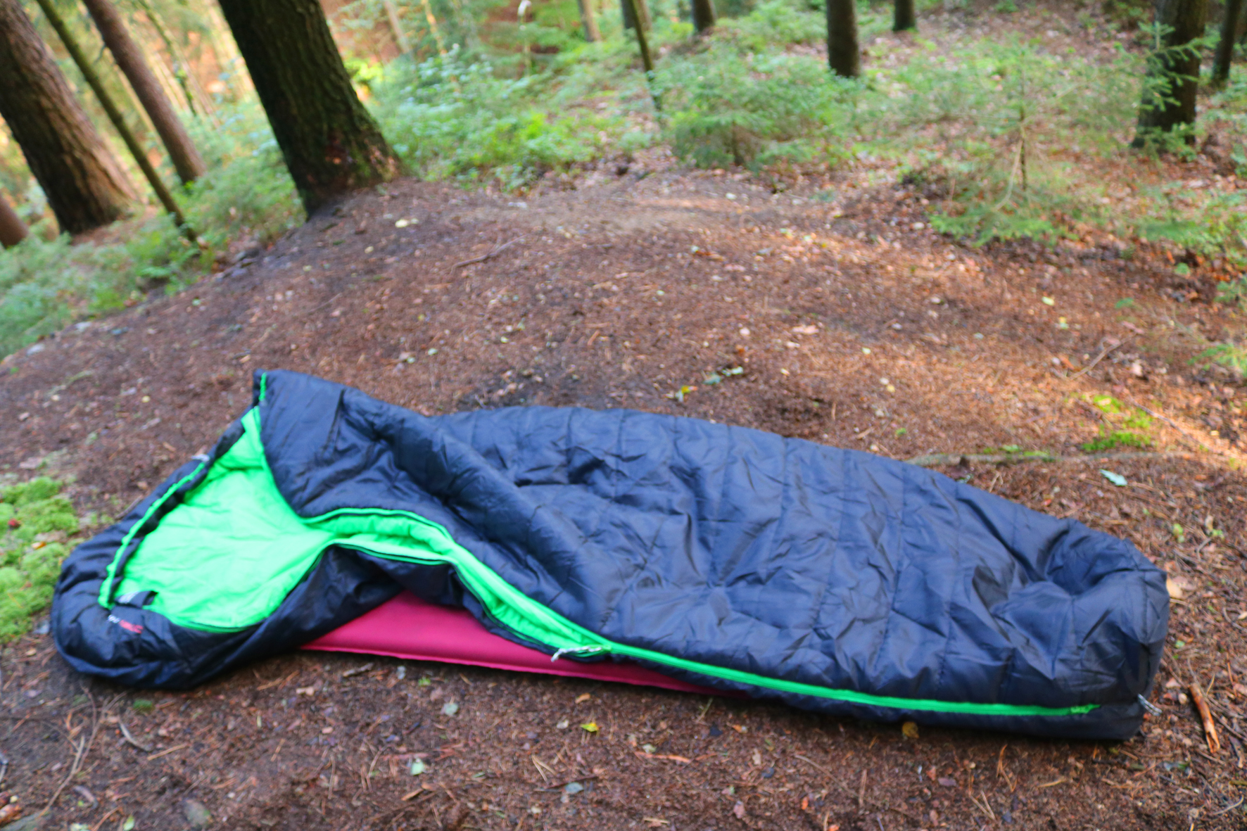 Safari je ideální spacák do středoevropského lesa od jara do podzimu