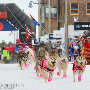 Jana Henychová se v zimě chystá na další start na nejdelším evropském závodě psích spřežení.