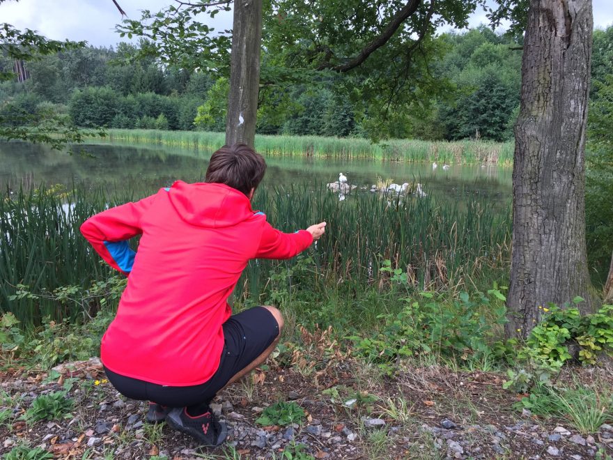 Do kapes mikiny Salomon X Alp Mid Hoodie se bohatě vejde krmení pro labutě (a mnohem víc).