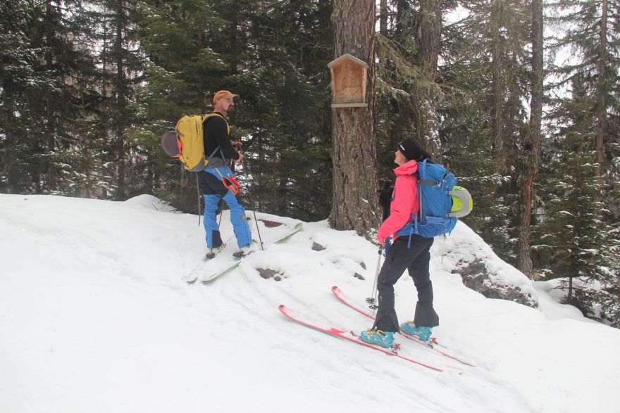Spodní triko HELLY HANSEN LIFA Seamless na skialpové túře.