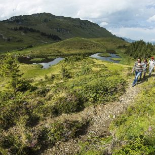 Okruh Buiräbähnli Safari po tradičních farmách v údolí Engelbergu, Švýcarsko.