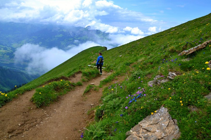 Procházka po rozkvetlých horských loukách, Niesen, Švýcarsko.