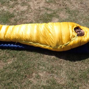 Mauzoleum V. W. Dvořáka.