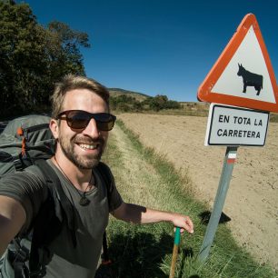 Pozor. Býk v ohradě a ten druhý má na sobě merino triko WOOLIFE 140.