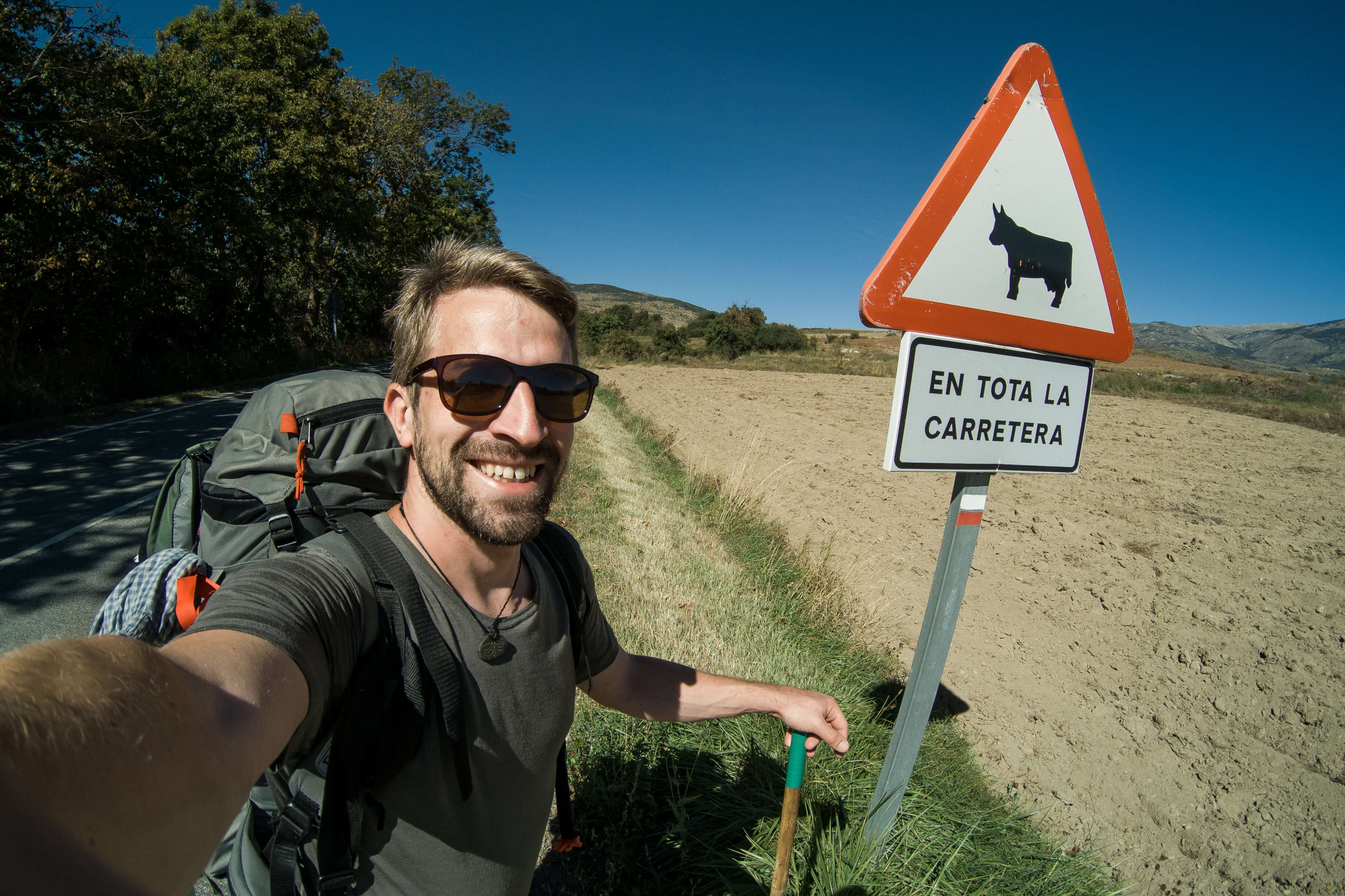 Pozor. Býk v ohradě a ten druhý má na sobě merino triko WOOLIFE 140.