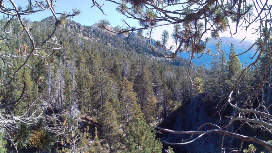 Testovací snimek - foto mód - 5Mpx - zmenšeno na FullHD