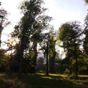 Testovací snímek Niceboy VEGA 6