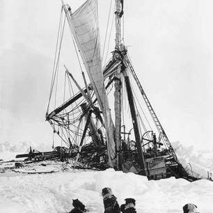 Psi sledují závěrečnou fázi zániku lodi Endurance, kterou rozdrtil a potopil led.