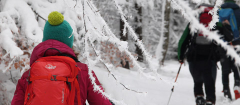 Odolný zimní batoh Lowe Alpine Descent 35