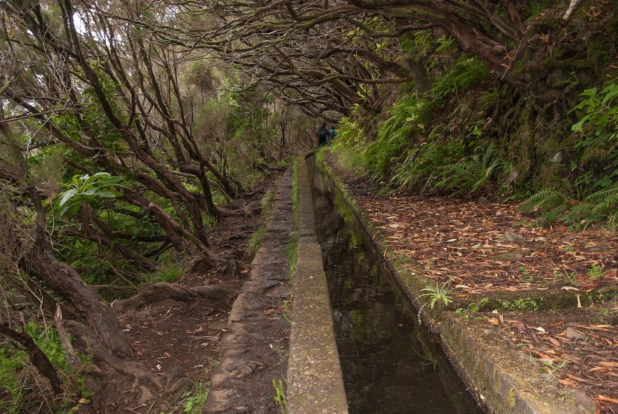 Zavlažovací kanály, levády, často vedou neprostupnou vegetací, skrz tunely a nad skalními roklemi. Madeira