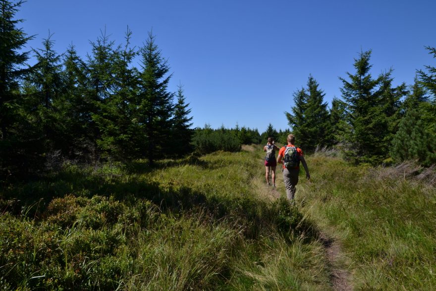 Pohodová hřebenovka Orlických hor bez velkého převýšení.