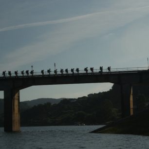 poutníci pár desítek kilometru pred Santiagem de Compostella.