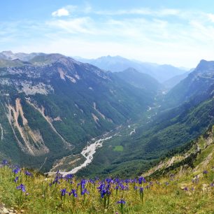 Divoce rostoucí kosatce v sedle Collado de Aňisclo (2453 m) a hluboké údolí Pineta, na jehož protější stranu míří GR 11. GR11, Pyreneje, Španělsko.