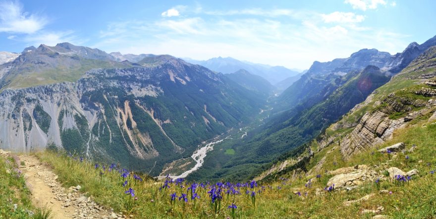 Divoce rostoucí kosatce v sedle Collado de Aňisclo (2453 m) a hluboké údolí Pineta, na jehož protější stranu míří GR 11. GR11, Pyreneje, Španělsko.