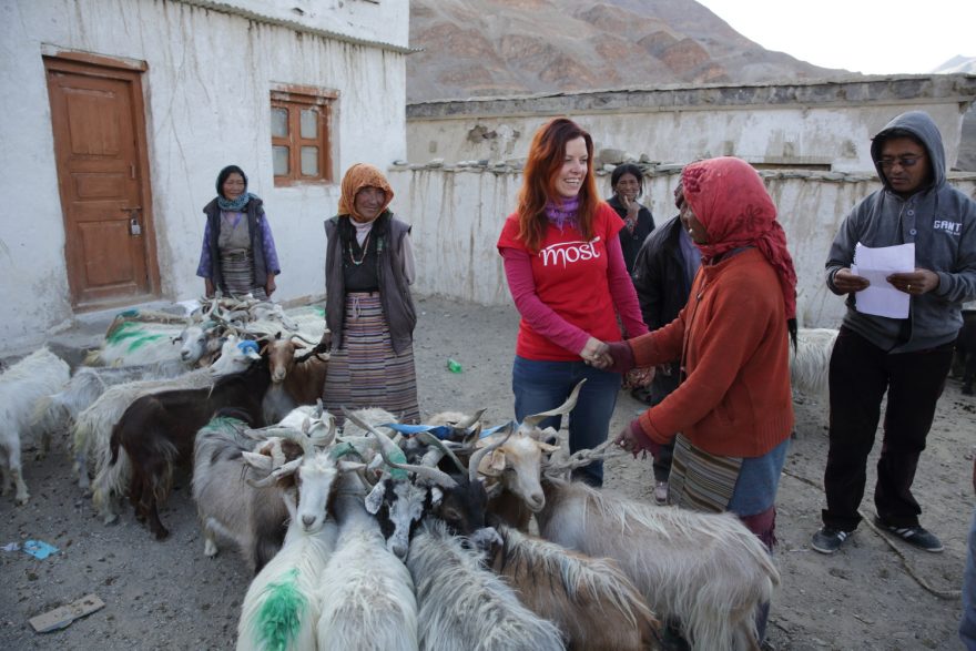 Darováním kozy přispějete chudým Tibeťanům k udržení jejich nomádských tradic