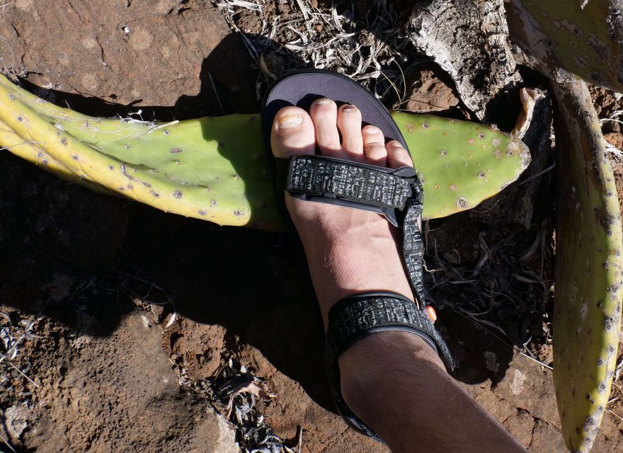 Široké pásky s polstrováním dobře fixují nohu a jsou příjemné - Lizard H2O RIDE.