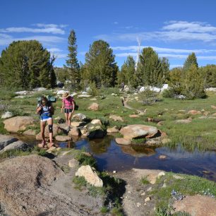 Ráj pro krátké i delší treky americkou divočinou, Yosemite.