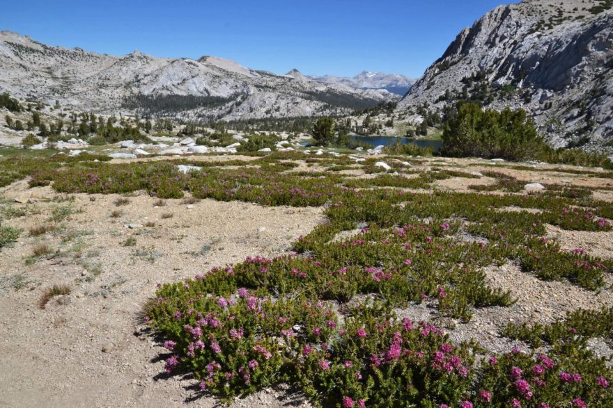 Krásy národního parku Yosemite.