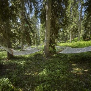 Pod korunami stromů je houpání v hamace ideálním relaxem. Waldwellness, Saalbach-Hinterglemm, Rakousko