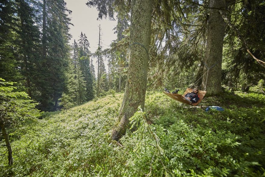 Ticho a klid lesa prospívá tělu i duši. Waldwellness, Saalbach-Hinterglemm, Rakousko