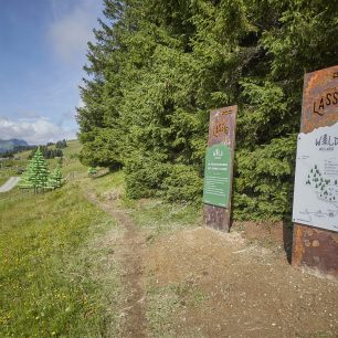 V Saalbachu, oblíbeném středisku v Kitzbühelských Alpách na pomezí Solnohradska a Tyrolska, vzniká nový wellness uprostřed lesů.