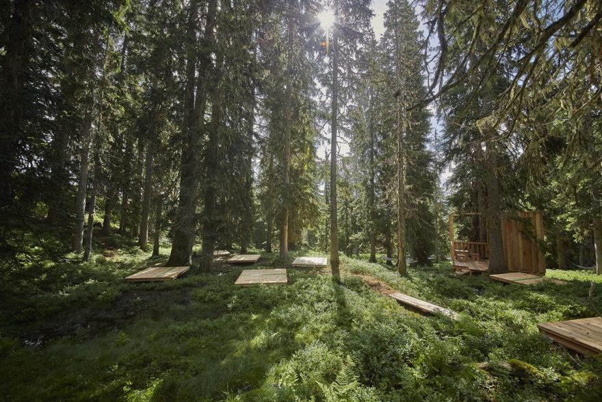 Načerpat energii a uvolnit mysl můžete při cvičení jógy na dřevěných platformách uprostřed lesa. Waldwellness, Saalbach-Hinterglemm, Rakousko