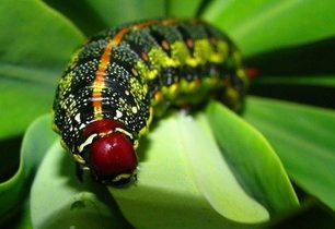 La Gomera - utajený ráj Kanárských ostrovů