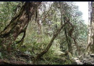 Nepálskou džunglí. Cesta do Nepálu, 3. část