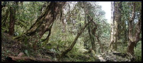 Nepálskou džunglí. Cesta do Nepálu, 3. část