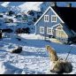 Grónskem ve stopách Fridtjofa Nansena