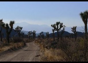 Lezení v Joshua Tree National Park