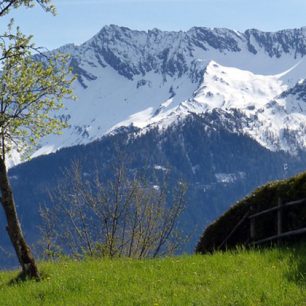 Vysoké Taury: Pinzgauer spaziergang s živým batůžkem