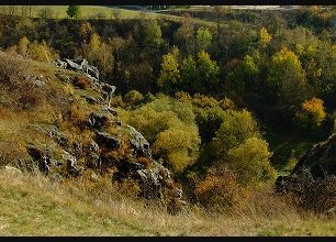 Divoká Šárka - rokle v hlavním městě