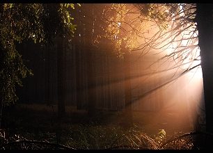 Východní Krkonoše – království fotografů