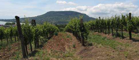 Na kole kolem Balatonu
