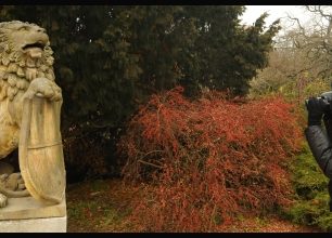 Lednice není lednička