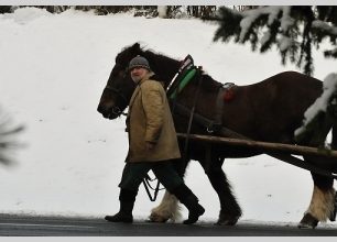 Hledání ztraceného Stalina