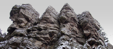 Rulové palice ve Žďárských vrších