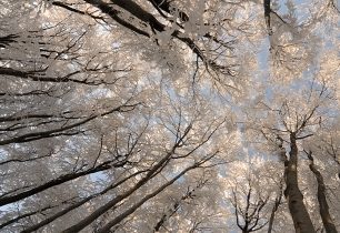 Jiřetín pod Jedlovou: Stříbro i rozhledna