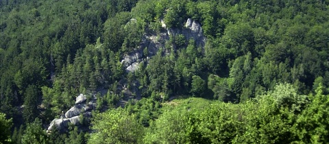 Pulčínské skály: střelba v rezervaci