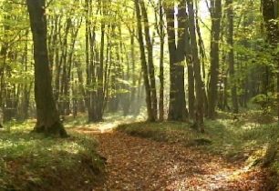 Navštivte na kole dva státy za jeden den + VIDEO