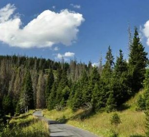 Liberec: přírodní koupání, naučná stezka a rozhledna