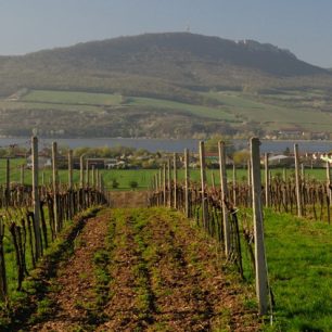 Pochod (nejen) po pálavské magistrále