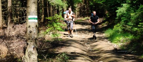 Výšlap na Borůvkovou horu