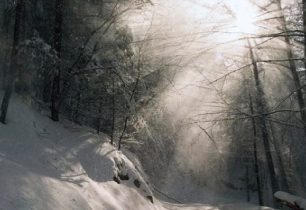 Putování zamrzlými roklinami Slovenského ráje