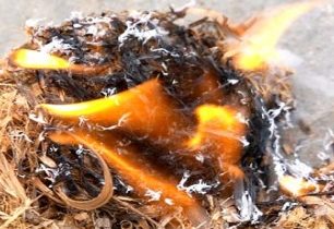 Co když po ruce není chrastí ani noviny? + VIDEO