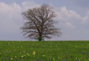 Za nejhezčími loukami naší republiky!