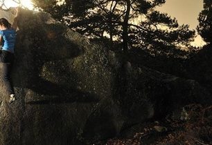 Seznamte se: Courtney Sanders!