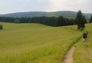 Voňavé louky Rychlebských hor