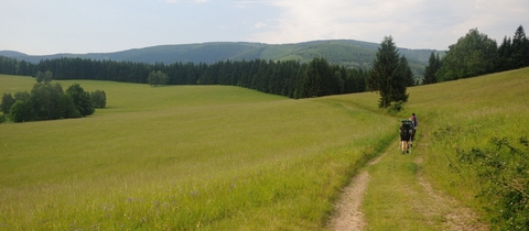 Voňavé louky Rychlebských hor